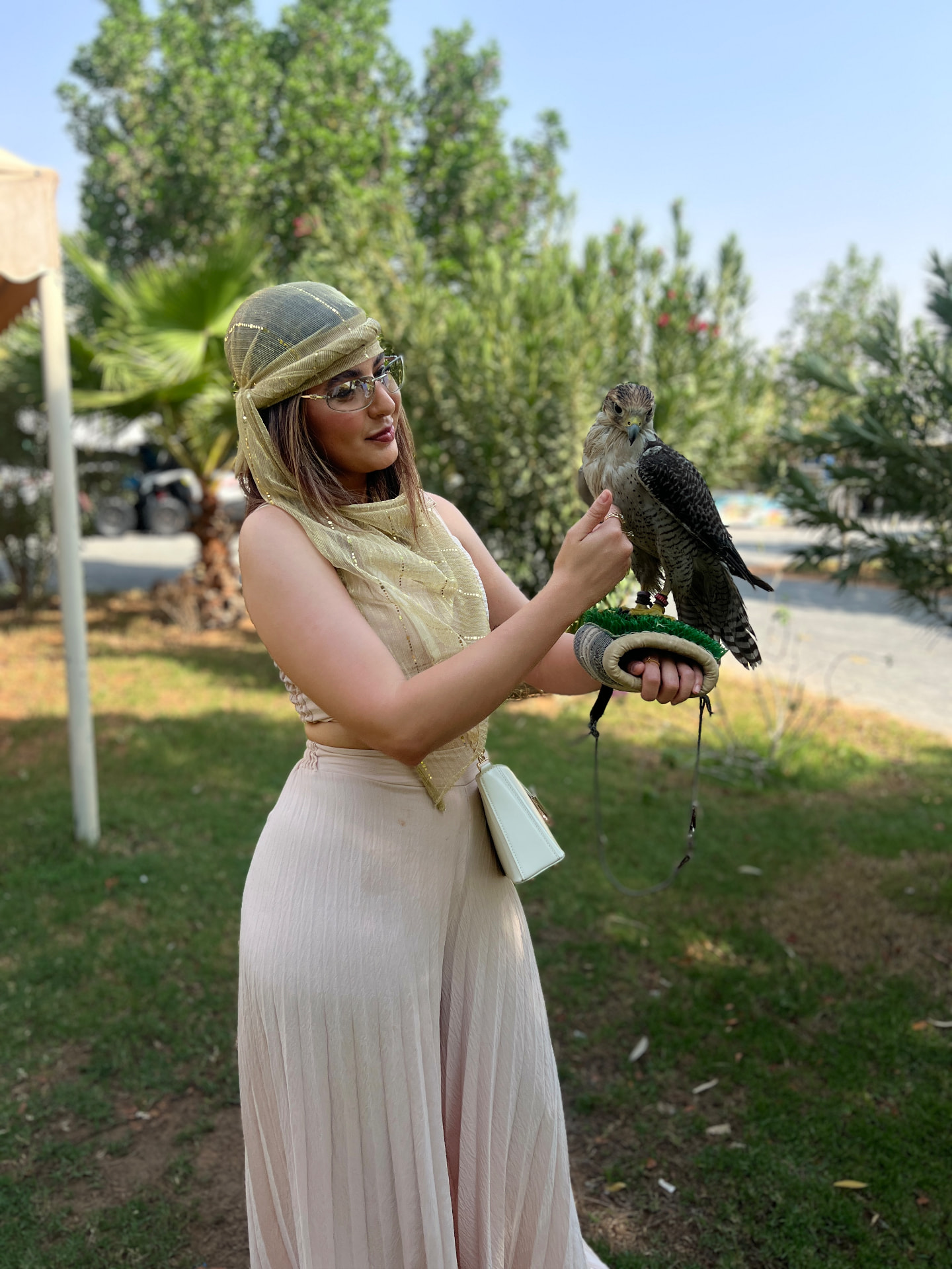 Joyce Alves com um falcão em Dubai